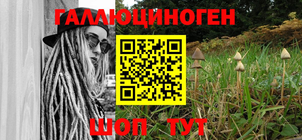 Домодедово  Псилоцибиновые грибы Magic Shrooms  Вход с VPN  Галлюциногенные грибы Cubensis 